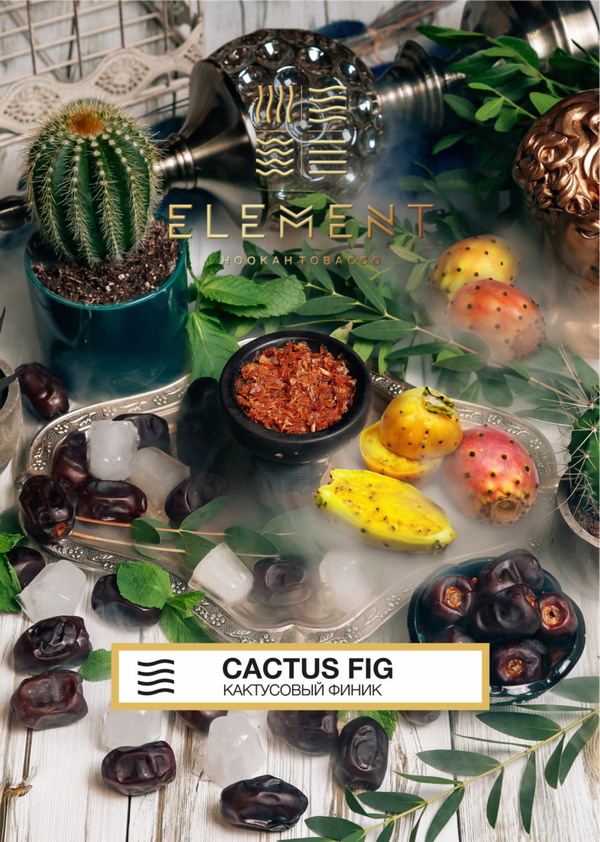 Tobacco Element Air Line Cactus Fig    