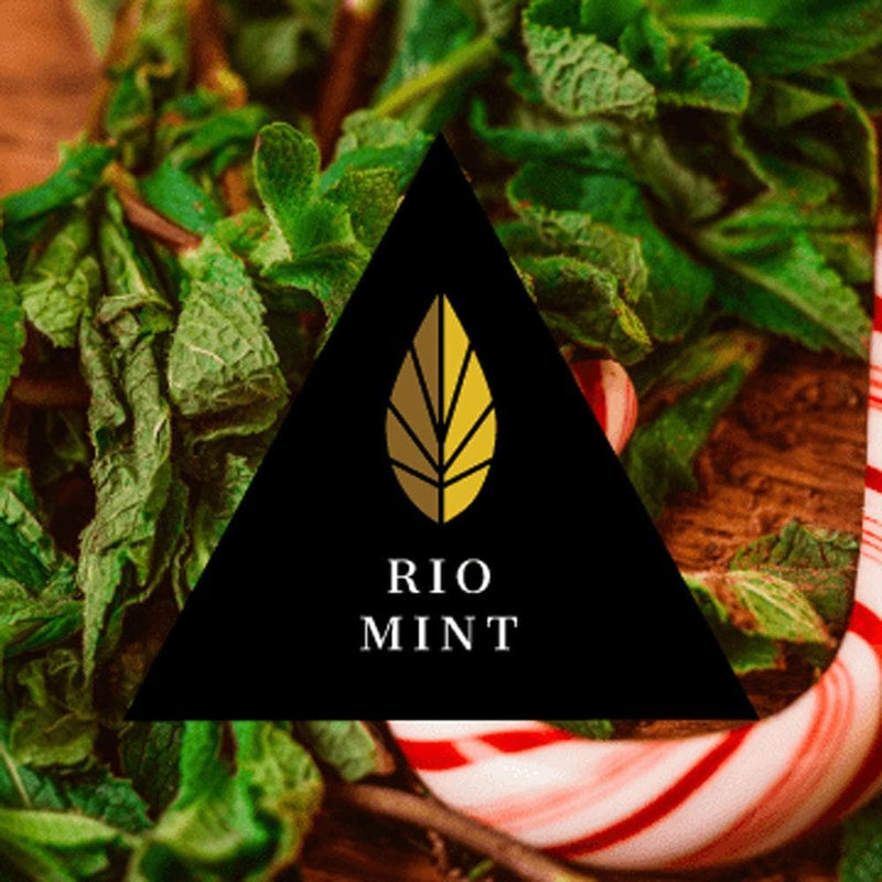 Tobacco Azure Black Line Rio Mint 100g    