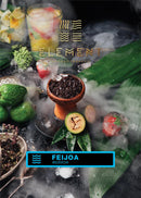 Tobacco Element Water Line Feijoa Hookah Flavors