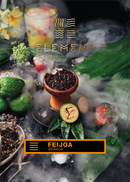 Tobacco Element Earth Line Feijoa Hookah Flavors