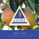 Tobacco Azure Gold Line Grow A Pear 100g    