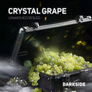 Darkside Crystal Grape Hookah Shisha Flavor