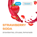 Tobacco Element Air Line Strawberry Soda Hookah Flavors