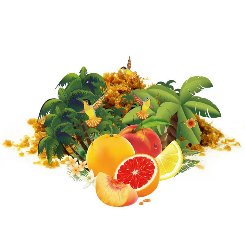 Tobacco Eternal Smoke Tropical Ball (Fruity Bubble) Hookah Shisha Tobacco Flavor