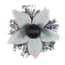 Sapphire Crown Bright Side Hookah Flavor