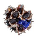 Sapphire Crown Dried Plum Hookah Flavor