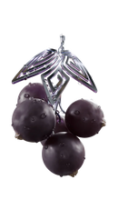 Sapphire Crown Fragrant Blackcurrant Hookah Flavor