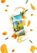 Sarma Classic Buckthorn Orange Hookah Shisha Tobacco -