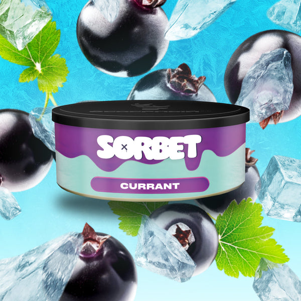 Severniy Currant Sorbet Hookah Shisha Tobacco