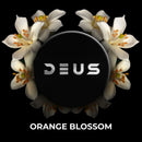 Deus Orange Blossom Hookah Shisha Tobacco