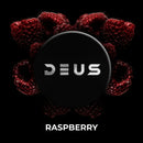 Deus Raspberry Hookah Shisha Tobacco