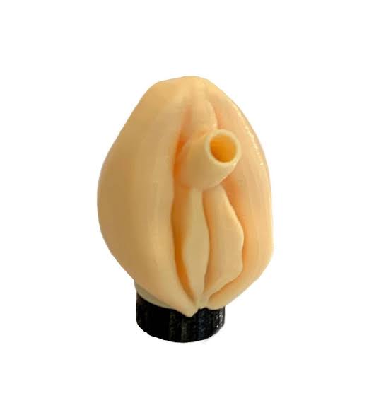 Mouthpiece 3D Personal Hookah Mouth Tip  Pussy  
