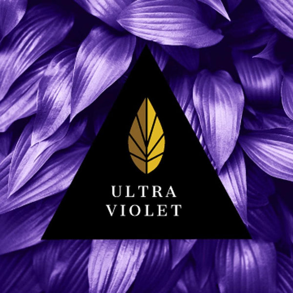Tobacco Azure Black Line Ultra Violet 100g    