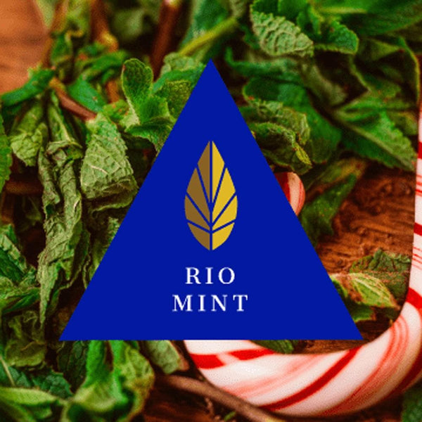 Tobacco Azure Gold Line Rio Mint    