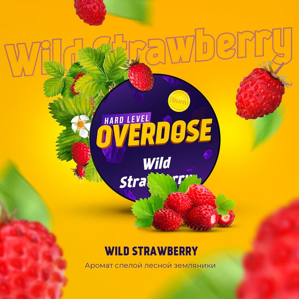 Tobacco Overdose Wild Strawberry    